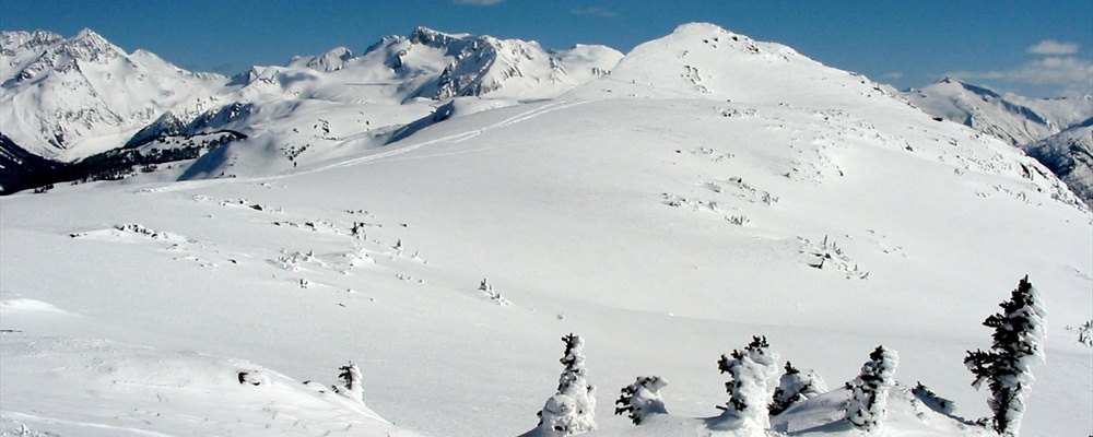 whistler
